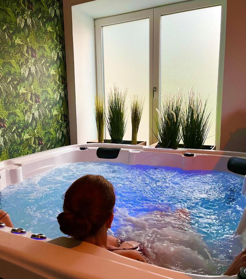 Le Manoir Des Haies Spa Les Champs-Geraux Экстерьер фото